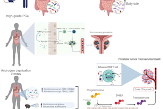design scientific figures and medical illustrations for publications