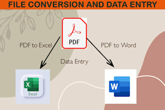 convert PDF to word or PDF to excel and will do data entry
