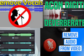remove noise, level, and polish your voiceover audio