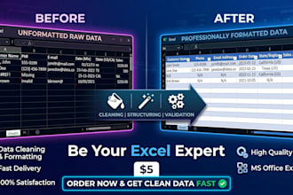 be your excel expert for data cleaning and formatting