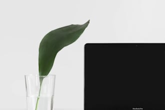 streamline your small business processes using lean six sigma