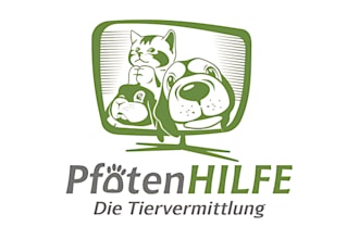 do modern minimalist cute pet, cat, dog, animal logo and any graphics design
