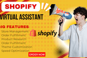 be your expert shopify store manager and VA