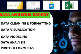 do data visualization, data cleaning using power bi, ms excel, tableau dashboard