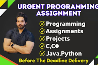 do computer science assigned, report, cpp, java, python tasks and project