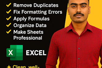 clean, format, and organize your excel data professionally