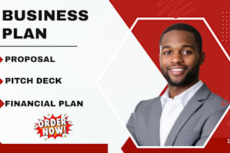 prepare investor ready business plan and financial plan