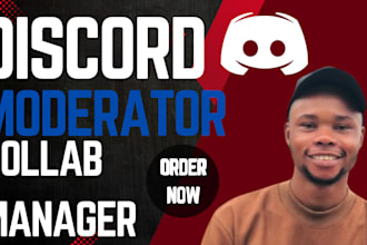 be your nft discord moderator, collab manager, chatter, and community manager