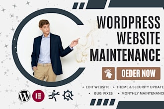 provide wordpress website maintenance, update, support, help and management