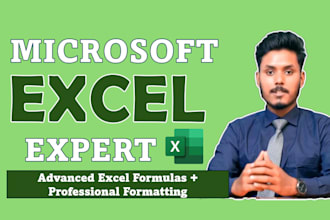 create excel formulas, format data, and clean messy spreadsheets
