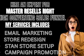 be your stan store manager for master resell right email campaign