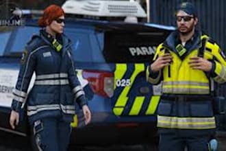 trobleshot any mods, lspdfr for fivem and do gta 5 eup development