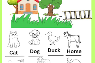 do creat worksheet,book desgine and website