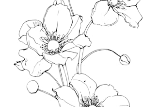 draw hand drawn floral line art and deliver a digital file