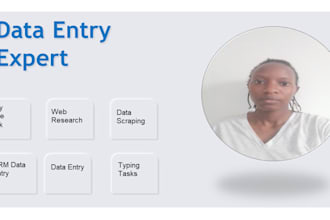 do data entry, virtual assistance efficiently