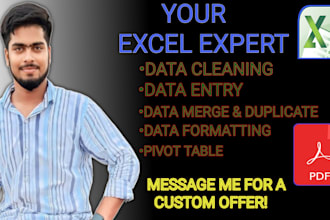 clean, format, merge, split excel data