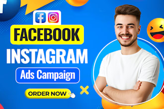 set up facebook and instagram ads for leads and sales