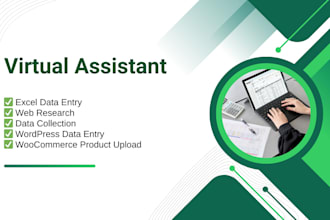 do fast data entry, web research, copy paste, excel data entry, pdf to excel