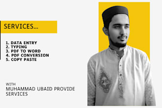 do fast accurate typing, data entry, PDF conversion,PDF file