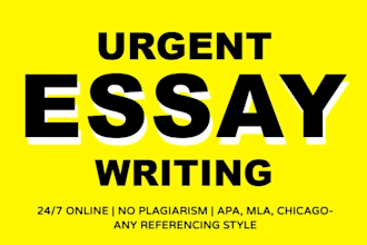 write urgent essay writing as an essay writer
