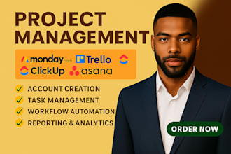 be monday CRM asana trello honeybook clickup notion project management expert