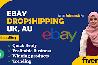 handle ebay dropshipping store setup and management UK au