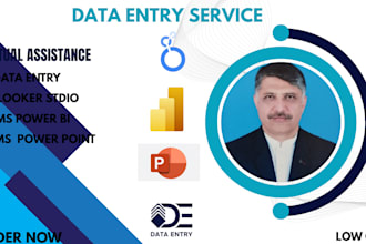 be your virtual assistant for data entry in low cost