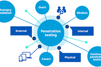 do web, mobile, API and internal network penetration testing