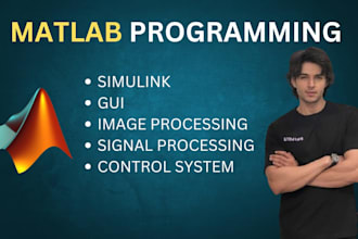 do image processing and signal processing by matlab and python