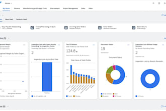 develop custom software, web apps, CRM, erp, saas, pos, hr, inventory, odoo