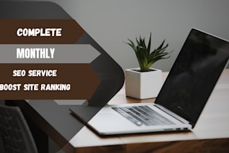 provide monthly SEO service for 1st page google rankings