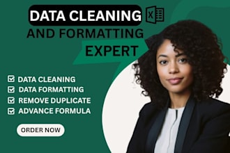 excel data cleaning and formatting sorting spreadsheet analysis data cleanup