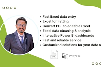 do fast excel data entry, cleaning, convert pdf to excel