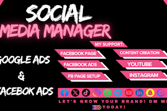 setup instagram and facebook ads campaign, google ads, or fb ads manager