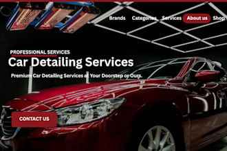design car detailing website, car rental website, taxi booking website