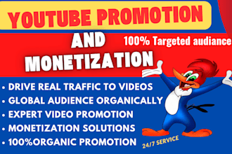 do organic youtube video promotion and channel promotion for monetization