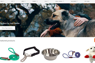 do wix squarespace veterinarian pet store website pet care pet training website