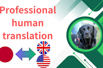 provide accurate english to japanese manual translation