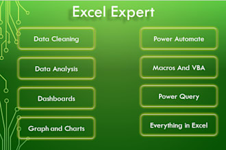 do dashboards, vba, data cleaning, power automate in excel