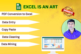 do data entry, data cleaning, PDF to excel, excel graphs,