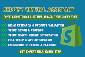 be your shopify virtual assistant, consultant, and store manager