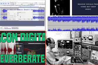 edit your voiceover to remove unwanted noise