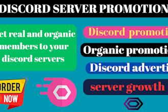 boost, advertise and grow your discord server, organic promotion to get members