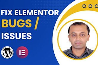 fix any elementor issues or errors on your wordpress website
