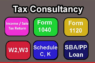 minimize your US tax filings 1040 1065 1120 returns