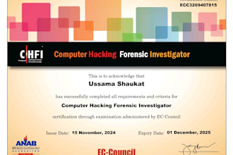 do penetration testing, vulnerability testing for a website