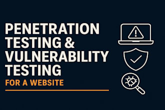 do penetration testing, vulnerability testing for a website