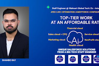 be your certified salesforce developer and architect