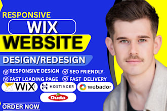 build wix webador hostinger duda business website design, landing page redesign