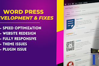 fix wordpress bugs, errors, and broken elements
